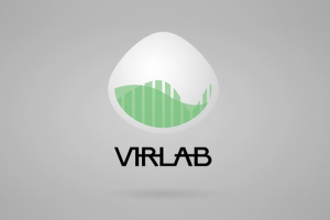 VIRLAB - 震動測試報告 (No. 253753)